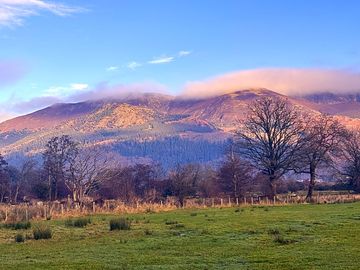 View from the pitches