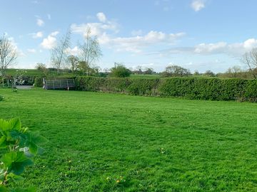 Pitch Field