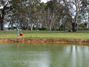 Lake