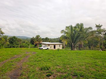 Pitches and reception area