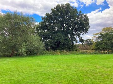 End of riverbank meadow