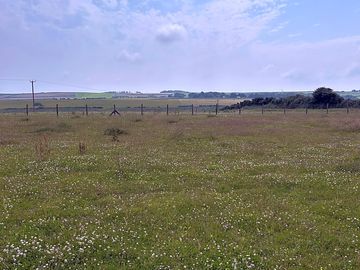 view south of pitch towards Stackpole