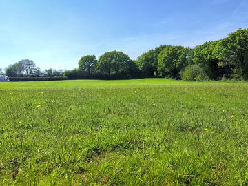 The field is sheltered by trees