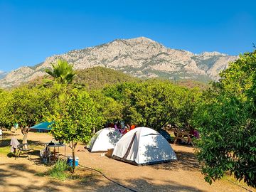 Tent pitches