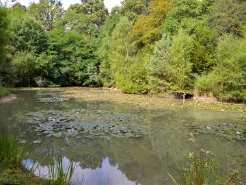 The on-site pond