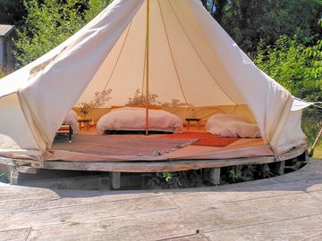 Apple tree bell tent