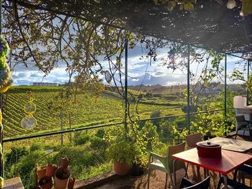 View from the terrace