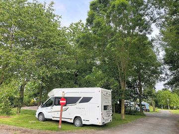 Pitches under the canopy