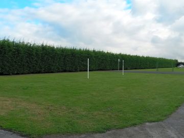 Large green field to play