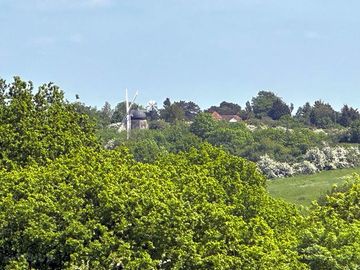 View of windmill from the site