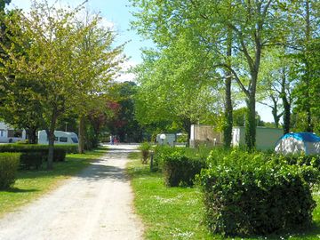 Pathways through the site