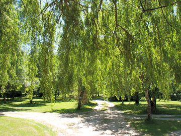 Large shaded pitches