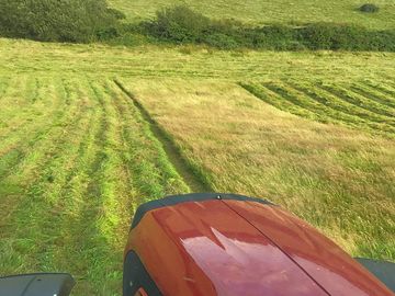 Cutting the hay for the pumllog ponies