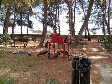 Kids' play area