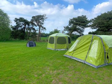Camping field surrounded by greenery