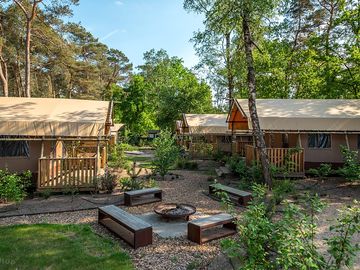 Safari tent area