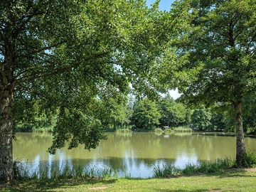 Lakeside