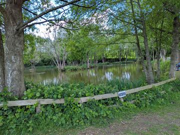 Lakeside view