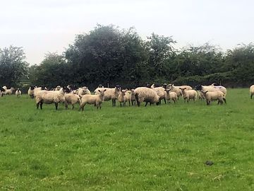 Residents on site