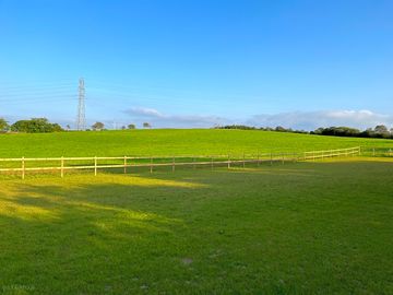 View from the pitches