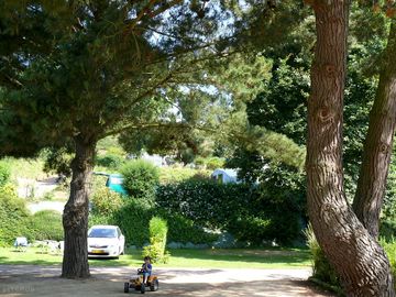 Pitches shaded by trees