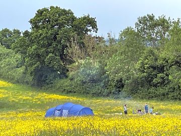 Camping in the meadow