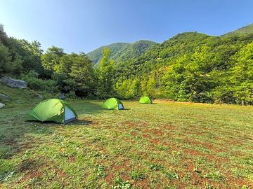 Pitches shaded by trees