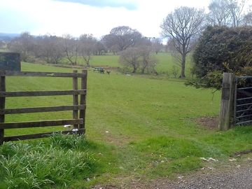 Entire field of 0.8 acres for you to enjoy
