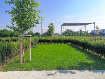 Grass pitch for tents