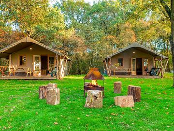 Safari tents