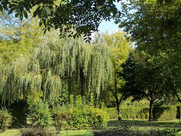 Pitches with plenty of greenery
