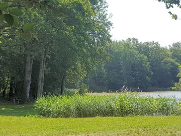 On-site pond