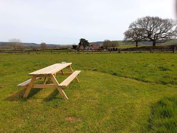 Seating area in the adjoining paddock