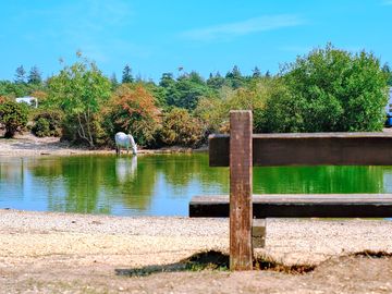 Pond at roundhill