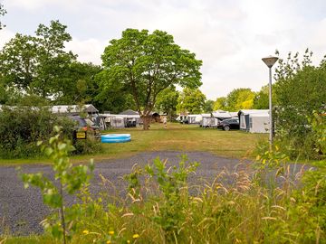 View of the site