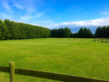 Pitches area