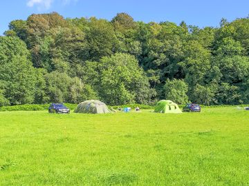 Visitor images of pitches on site