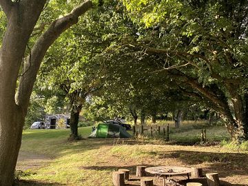 Fire pit area