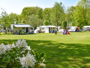 Pitches on site