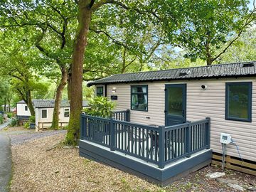 Woodland Elm Exterior Photo