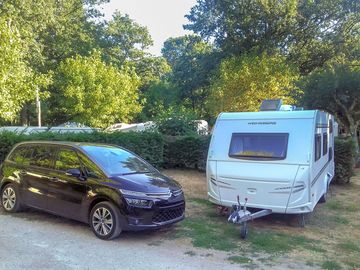 Pitches backed by trees
