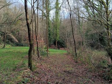 Around the site