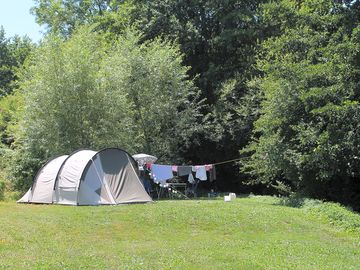 Pitch backed by trees