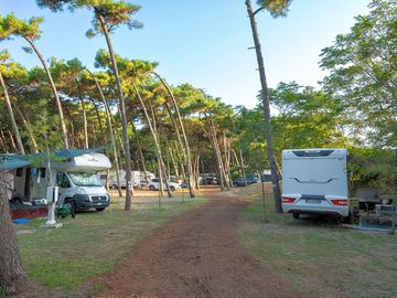 Pinewood pitches