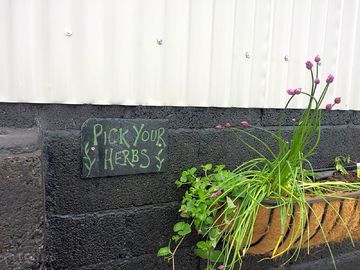 Free fresh herbs
