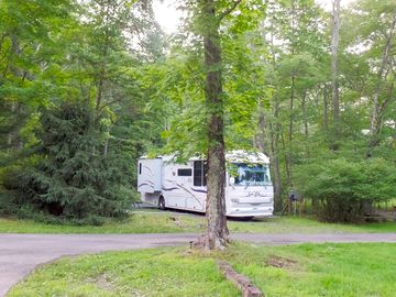 Immerse yourselves in nature
