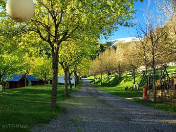 Green season