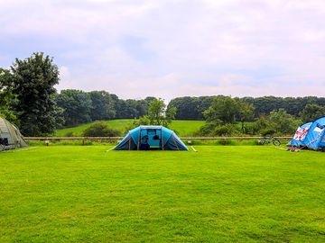 Grass pitches