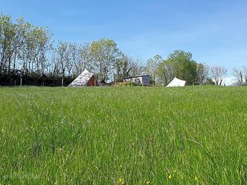 The site