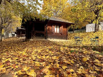Bungalow